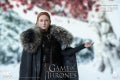 GOT_Sansa_Stark_S8_6_wlogo