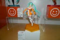 DSCN9132