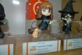 DSCN9138