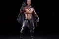 MARVEL LEGENDS SERIES 6-INCH PROFESSOR X & MAGNETO 2-PACK - McKellen