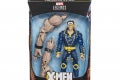 MARVEL LEGENDS SERIES X-MEN AGE OF APOCALYPSE 6-INCH Figure Assortment - X-Man in pck