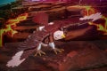 F1208_PROD_TRA_GEN_SIDESWIPESKYWARP_0012_Online_2000SQ