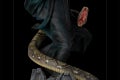 Voldemort and Nagini-Iron Studios_09