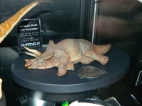 DSCN8437.JPG