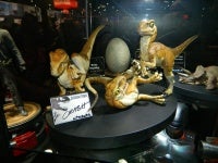 DSCN8438.JPG
