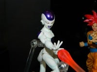 DSCN0226.JPG