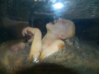 DSCN5048.JPG