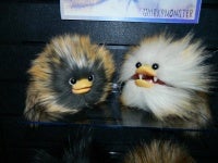 DSCN5078.JPG