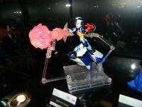 DSCN5487.JPG