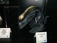 DSCN6665.JPG