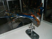 DSCN7002.JPG