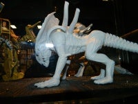 DSCN8062.JPG
