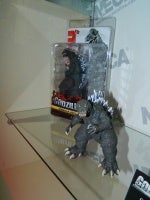 DSCN8598.JPG
