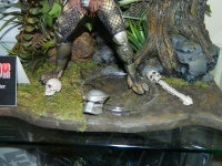 DSCN8640.JPG