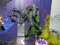 DSCN8698.JPG