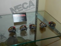 DSCN8708.JPG